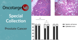 Oncotarget Special Collection Prostate Cancer