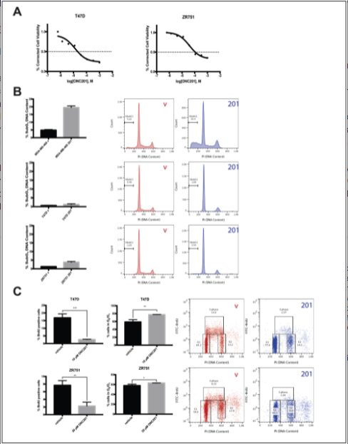 Figure 1: ONC201 inhibits the proliferation but does not induce apoptosis in T47D and ZR751 TRAIL-resistant non-TNBC cells.