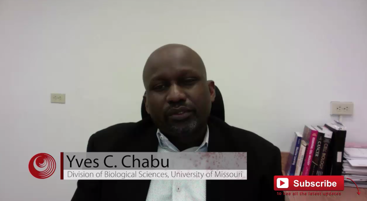 Dr. Yves Chabu