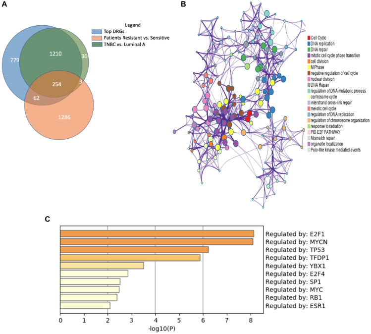 Figure 3: Similar gene expression patterns between endocrine-resistant breast cancer and triple-negative breast cancer.