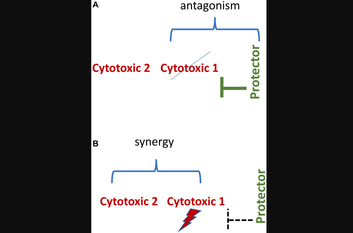 Figure 6: Synergistic/antagonistic combinations.