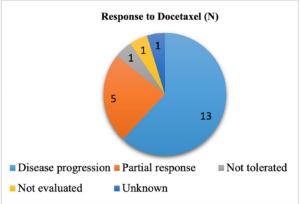 Figure 1: Response to docetaxel in second or third line treatment for non-small cell lung cancer after a treatment with chemo-immunotherapy.