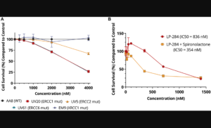 Figure 6: LP-284 is selectively lethal in cells with TC-NER deficiency. non-Hodgkin's lymphoma