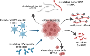 Figure 1: Tumor intrinsic and extrinsic factors in the periphery that can serve as proxies of tumor burden. Peripheral surrogates