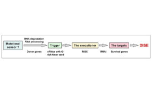 ancient anti-cancer mechanism