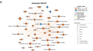 ATR Inhibition Using Gartisertib in Patient-derived Glioblastoma Cell Lines