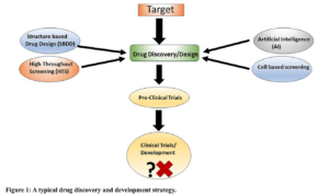 Figure 1: A typical drug discovery and development strategy.