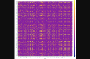 Figure 4: Correlation matrix with numerous significant positive correlations.