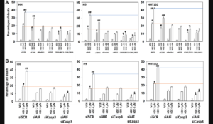 Figure 7: Combined macroautophagy and CD95 death receptor signaling facilitate additional tumor cell killing by GZ17-6.02