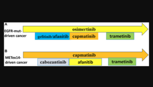 Figure 2: Preemptive combinations. (A) EGFR-Mutant-Driven NSCLC. See text. (B) METex14-Driven NSCLC. See text.