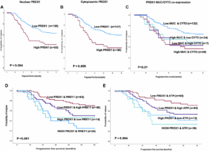 Blocking PRDX1 Protein May Improve Chemotherapy Response in Ovarian Cancer