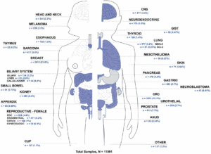 Comprehensive Genomic Testing Reveals Treatment Targets in 90% of Advanced Solid Tumors