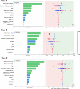 Colorectal Cancer Survival Predicted by AI Using Clinical and Molecular Features